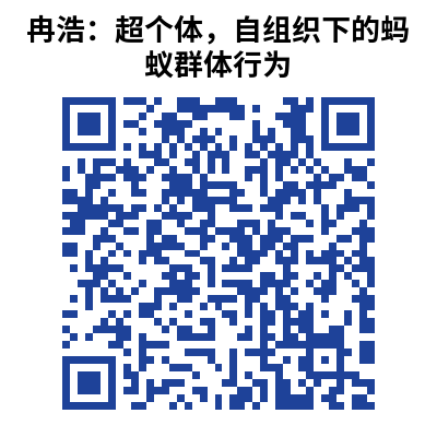 冉浩：超个体，自组织下的蚂蚁群体行为